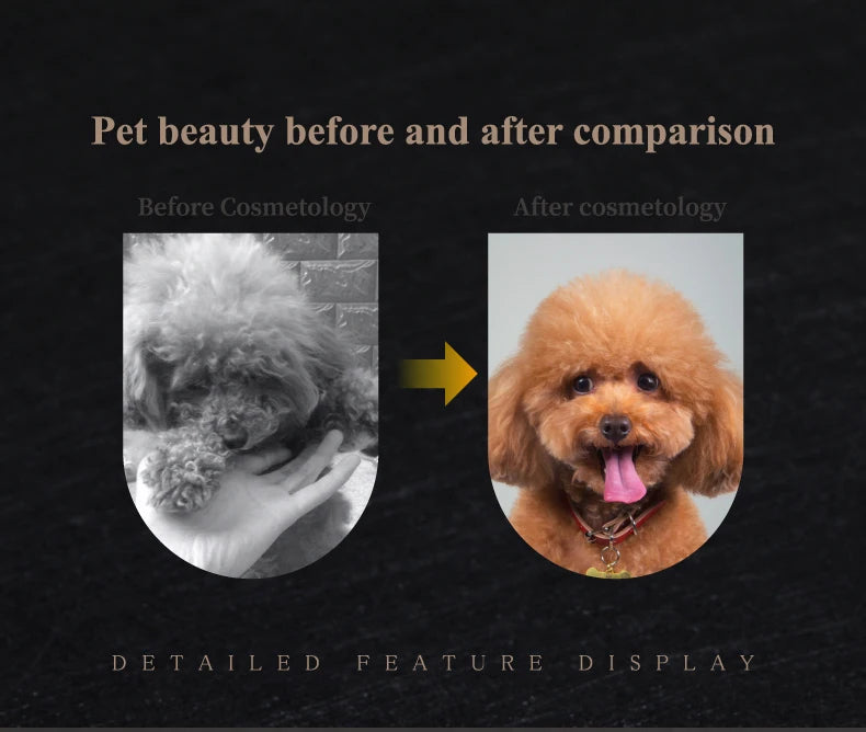 Fenice 7.0/7.5 inch Professional Dog Grooming Shears Curved Thinning Scissors for Dog Face Body Cutiing JP 440C High Quality