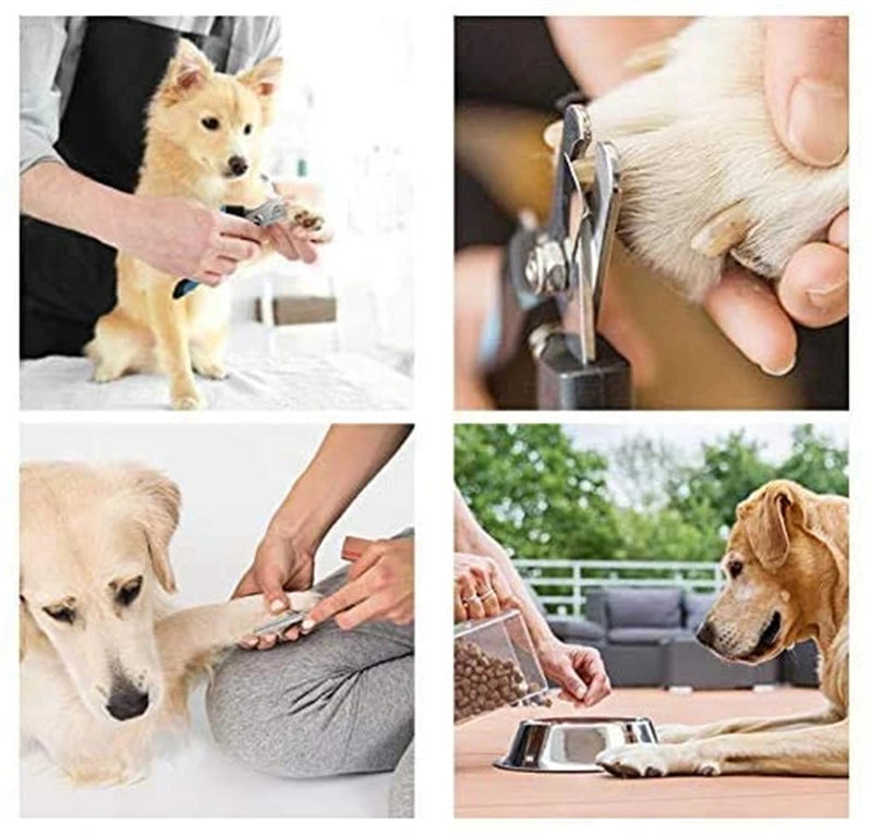 Professional Pet Nail Clipper with Safety Guard, Stainless Steel Scissors for Cat and Dog Claw Care and Grooming Supplies. Size Fits All Sizes.