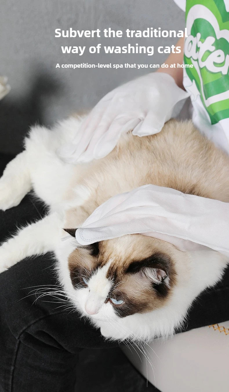 Pet no-wash hair cleaning gloves dog bath deodorization disposable cat cleaning wipes 8 pieces per pack of pet products for cat