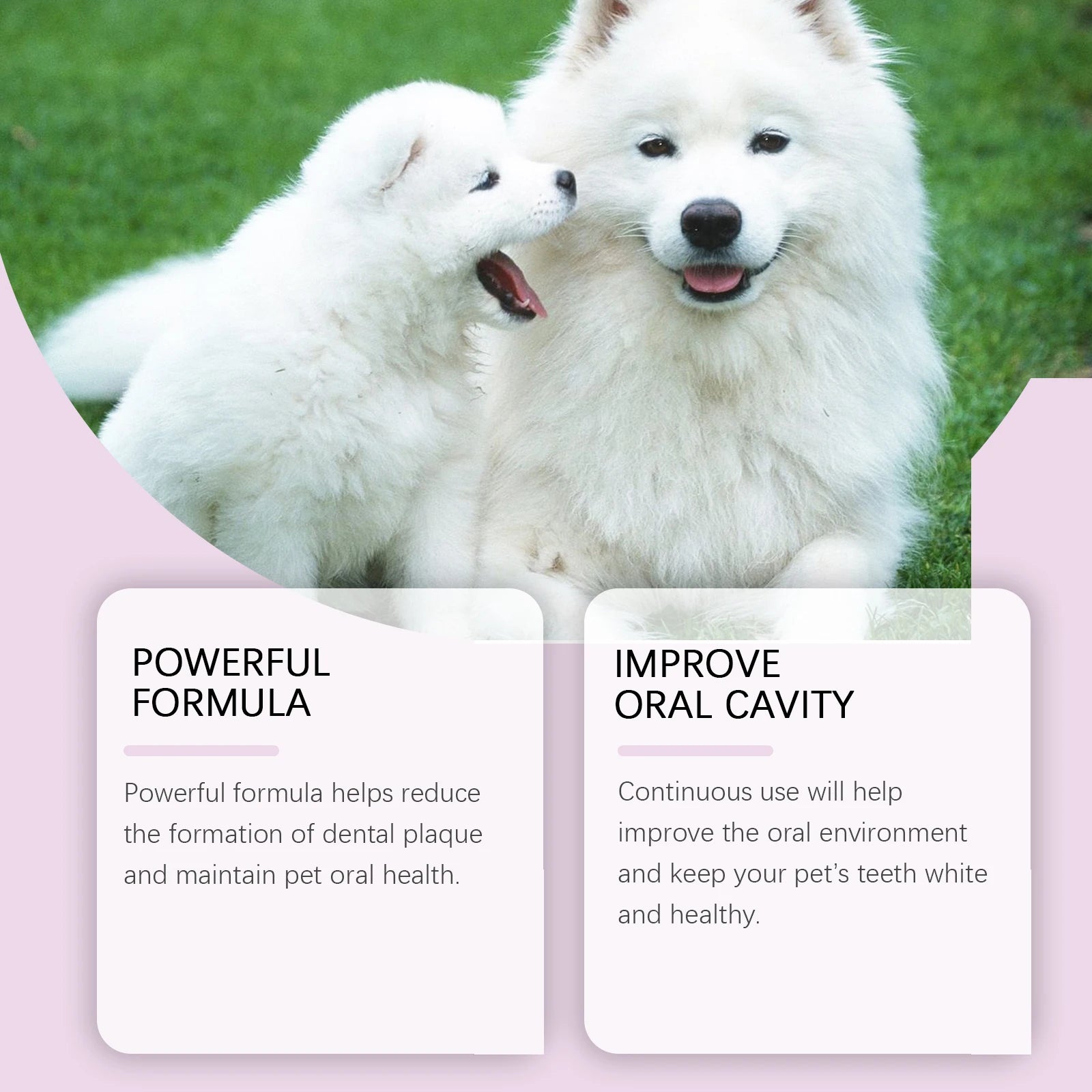 Vet-Recommended Pet Teeth Spray–Dissolves Tartar & Prevents Calculus,Long-Lasting Fresh Breath,Gentle & Hypoallergenic Formula