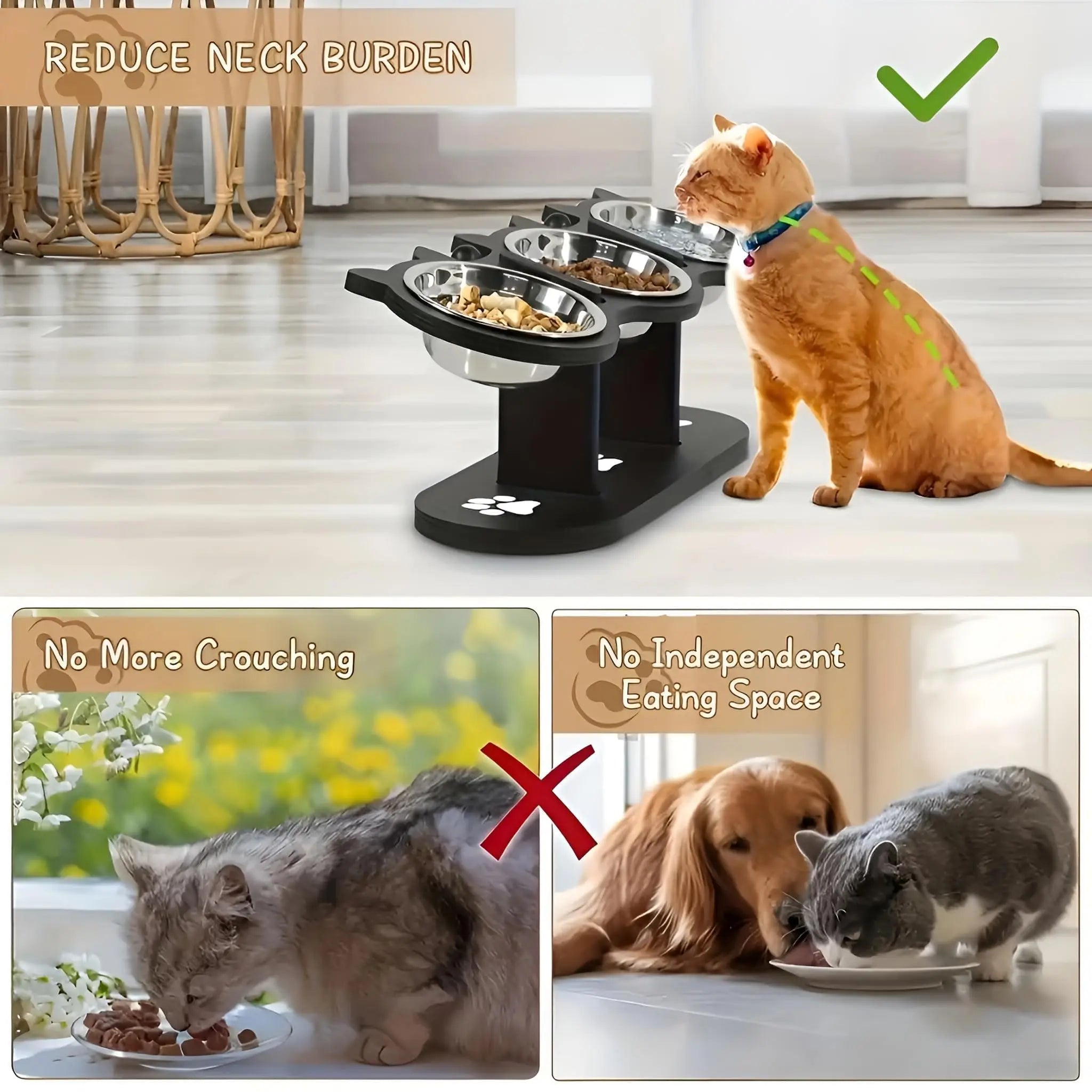 Elevated Cat Food Bowl with Black Wooden Support Frame. Steel-Free Cat Bowls, 15° Stand Sloped Feeding & Watering Supplies.