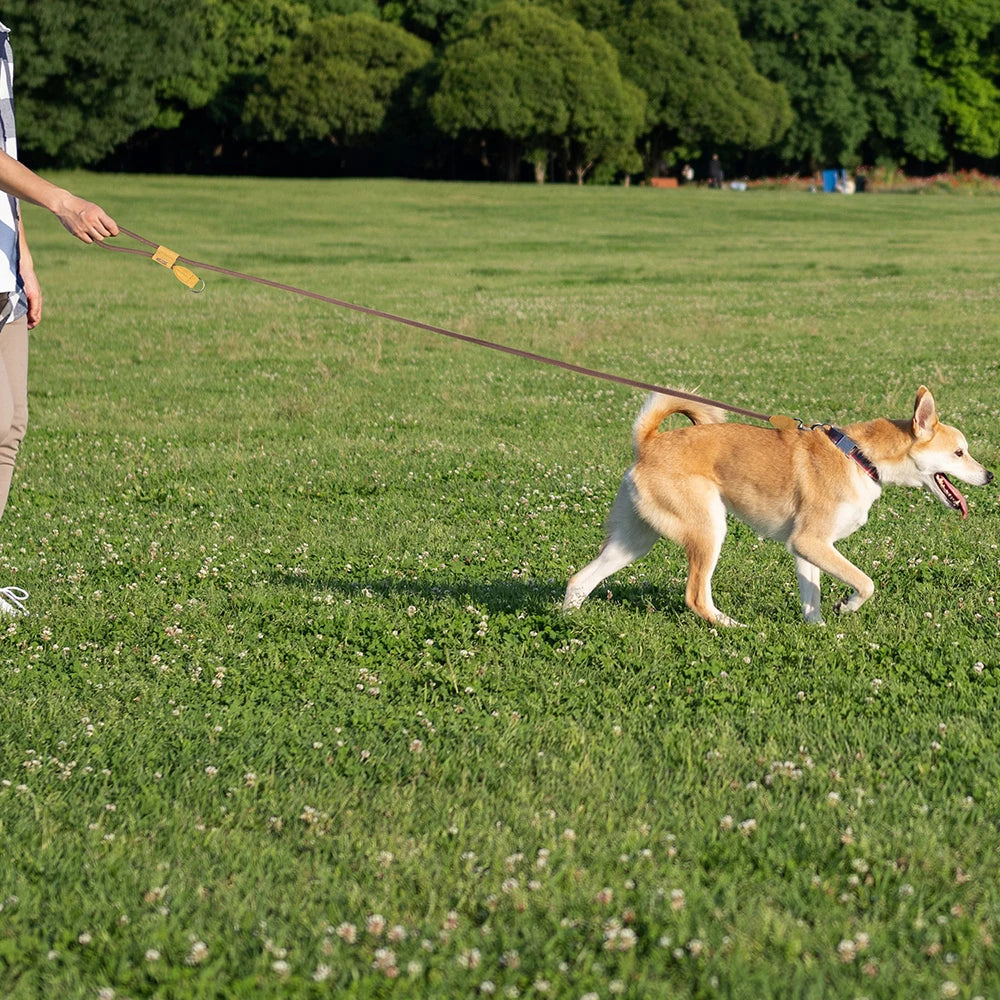 Trela de Cão Mãos Livres para Corrida com Cinto Ajustável de 1.8m