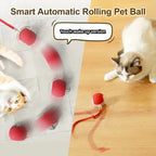 New Cat Interactive Ball Toy,Automatic Rolling Cat Ball Rechargeable,Smart Kitten Interactive Toy,Intelligent Balls Toy for Cat