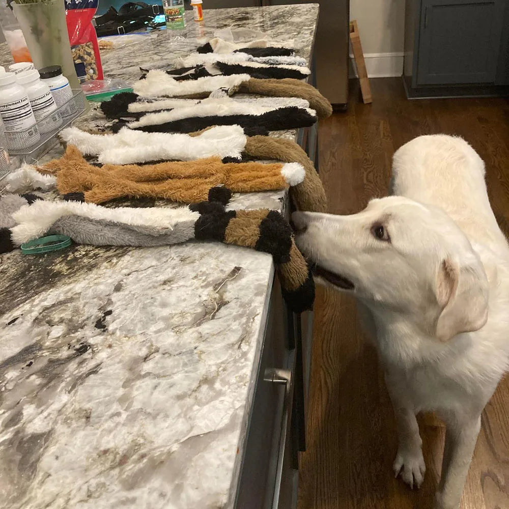 Funny Simulated Animal No Stuffing Dog Toy with Sneakers Durable Stuffingless Plush Squeaky Dog Chew Toy Crinkle Pet Squeak Toy