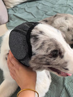 Dog noise reduction, sound insulation, ear muffs, waterproof swimming, dog emotional soothing headgear.