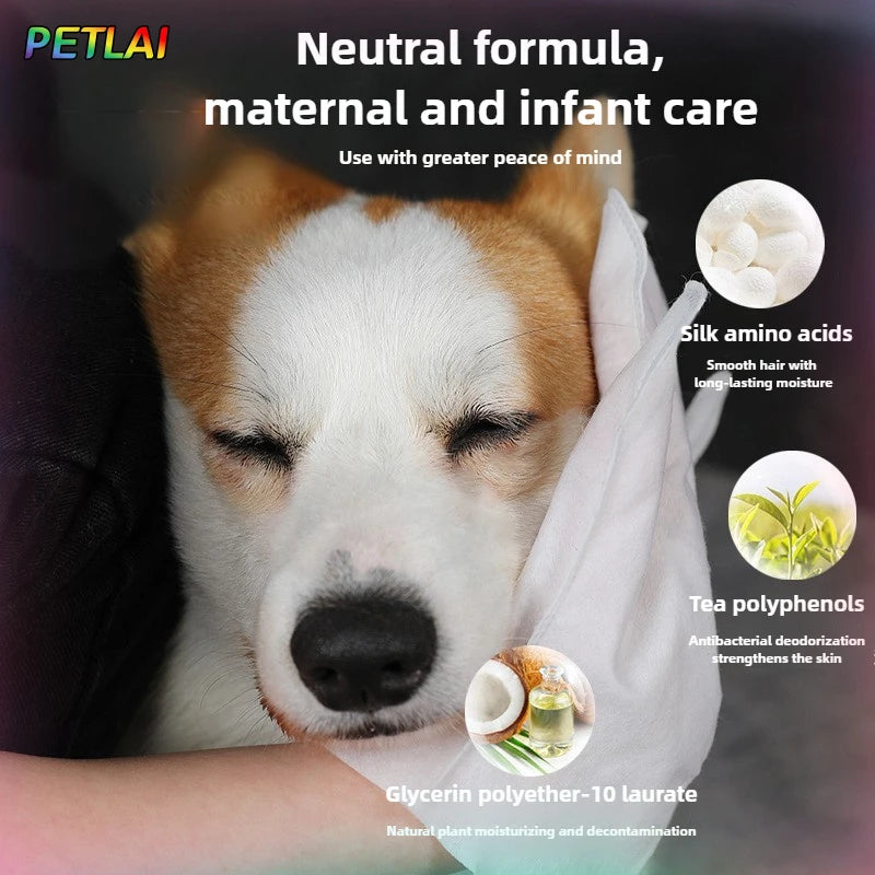 Pet no-wash hair cleaning gloves dog bath deodorization disposable cat cleaning wipes 8 pieces per pack of pet products for cat