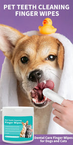 Pet cleaning products Disposable finger toothbrush Pet teeth cleaning wet finger covers Dog and cat oral cleaning