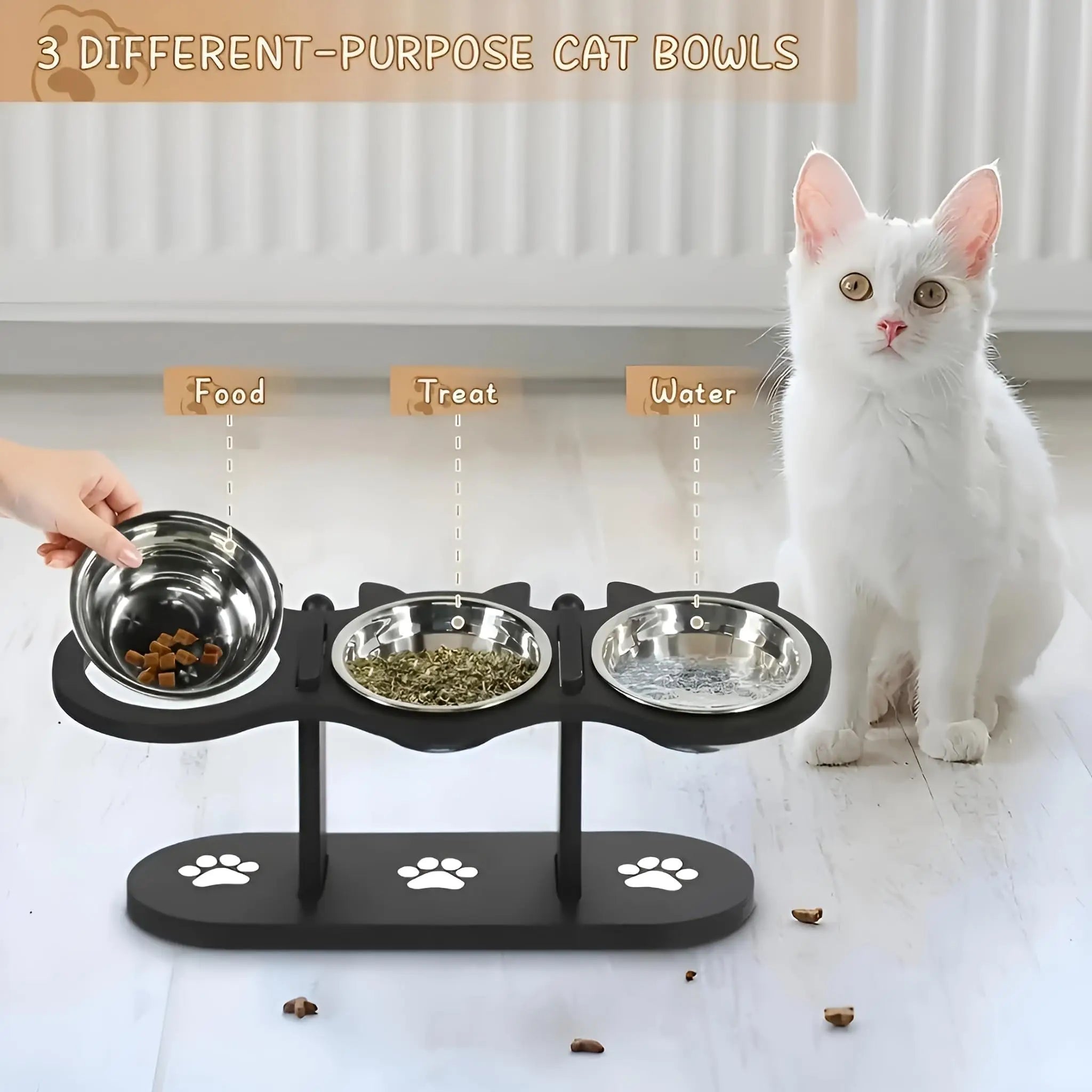 Elevated Cat Food Bowl with Black Wooden Support Frame. Steel-Free Cat Bowls, 15° Stand Sloped Feeding & Watering Supplies.
