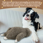 Peluche Sloth com Batimento Cardíaco – Brinquedo Calmante para Cachorros