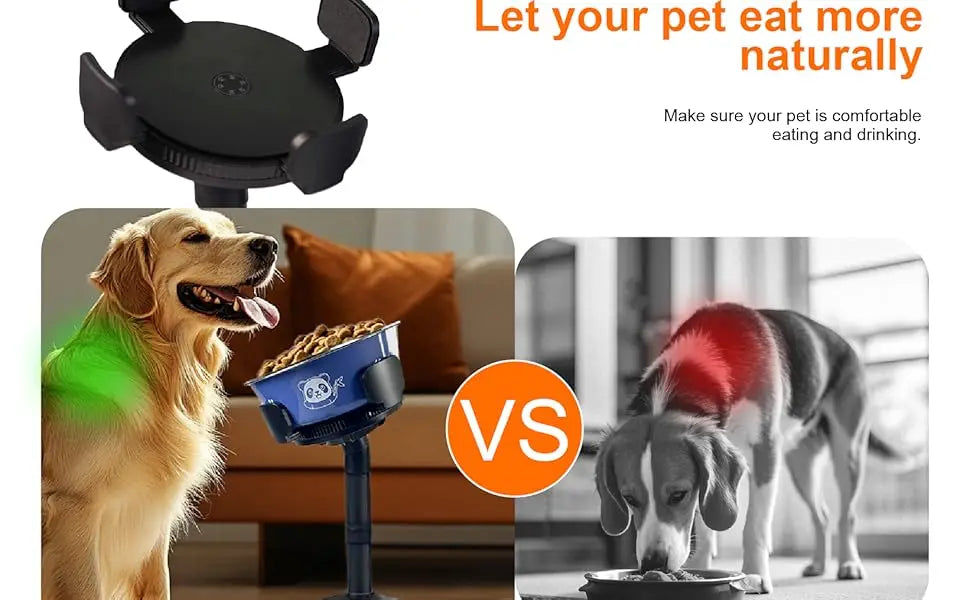 Adjustable elevated bowl stand with non-slip base, 3 height tilt settings (14-24.5cm). Stainless steel dish bowls for dogs and cats.