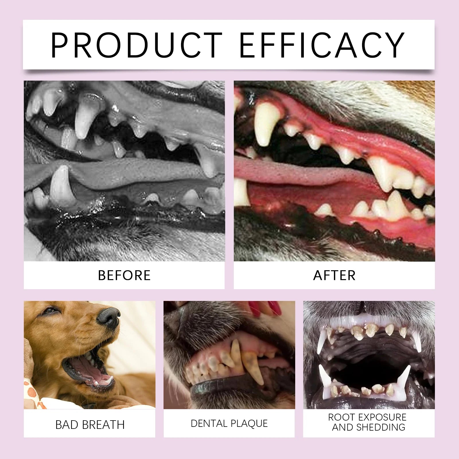 Vet-Recommended Pet Teeth Spray–Dissolves Tartar & Prevents Calculus,Long-Lasting Fresh Breath,Gentle & Hypoallergenic Formula