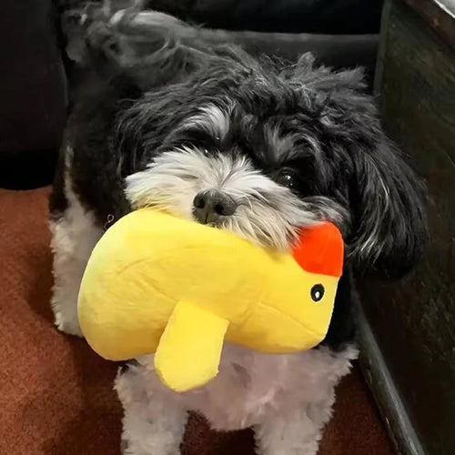 7 Peluches com Som para Cães – Brinquedos de Mastigar em Formato de Frutas e Snacks