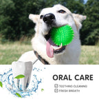 Conjunto 3/6 Bolas Squeaky para Cães – Brinquedos Flutuantes de Limpeza Dentária