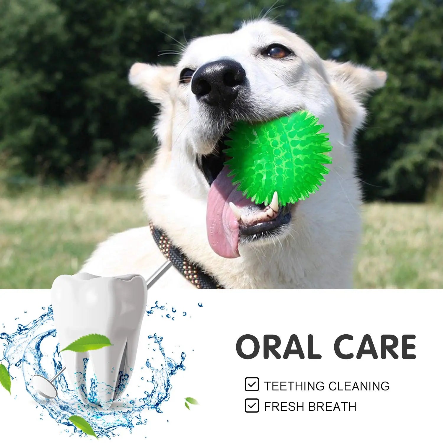 Conjunto 3/6 Bolas Squeaky para Cães – Brinquedos Flutuantes de Limpeza Dentária