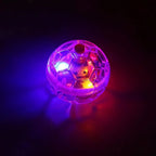 Bola LED Interativa para Gatos – Brinquedo Transparente com Luzes e Ativação por Toque