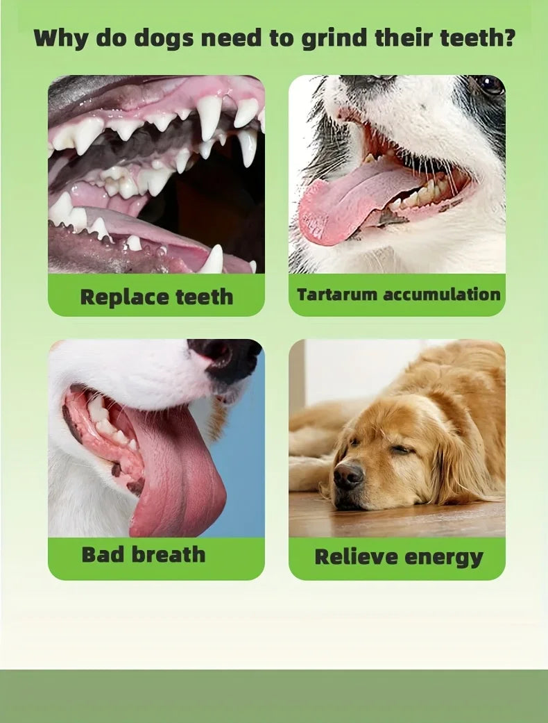 Osso de Mastigação Ultra‑Resistente para Cães – Efeito de Limpeza Dentária