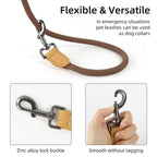 Trela de Cão Mãos Livres para Corrida com Cinto Ajustável de 1.8m