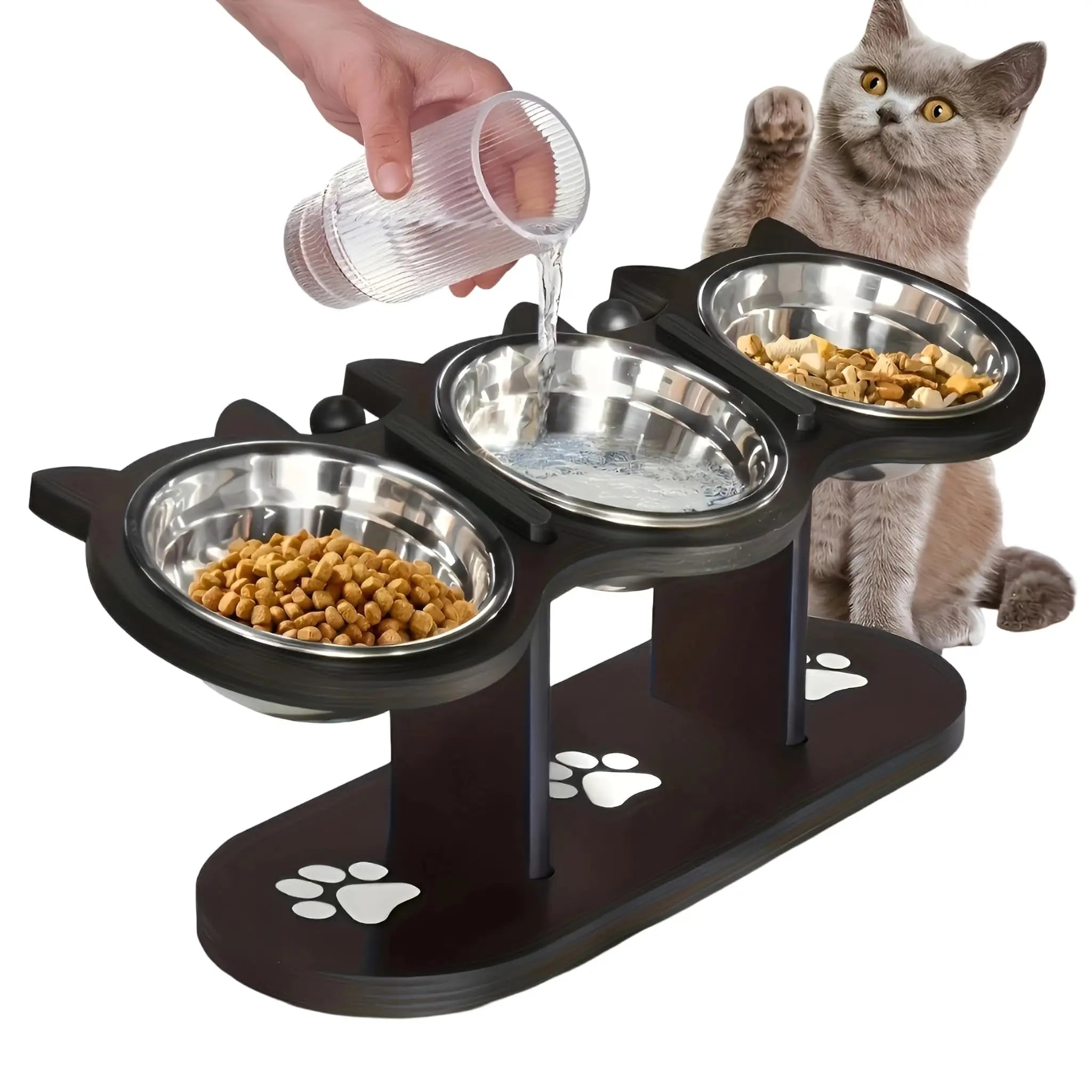 Elevated Cat Food Bowl with Black Wooden Support Frame. Steel-Free Cat Bowls, 15° Stand Sloped Feeding & Watering Supplies.
