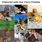 Conjunto 5 Peluches Crinkle sem Enchimento – Brinquedos Squeaky em Formato Animal