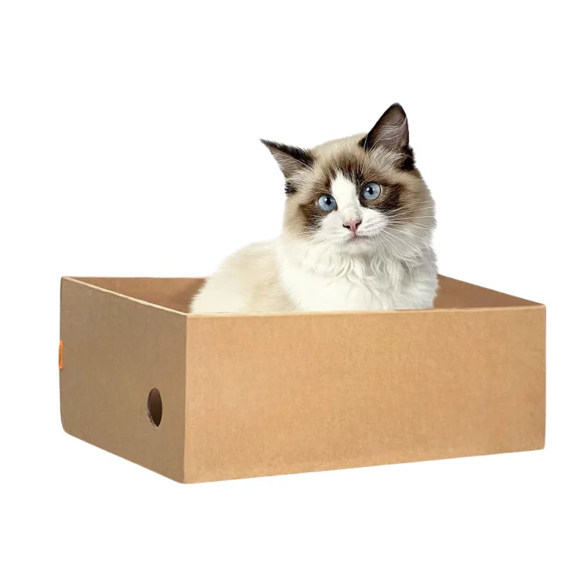 4-Pack 1 Cat Scratching Post Cardboard Box for Indoor Cats, Cat Scratching Mat Cardboard Box for Indoor Cats and Kittens