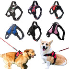 Small, Medium, Large Dog Harness, Strong Harness Vest for Dogs, Pet Shop, Everything for Dogs, Golden Retriever, Chihuahua, Accessories