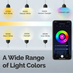 MOES Tuya ST64 Smart Bulb — LED RGB 2700–6500K WiFi Alexa