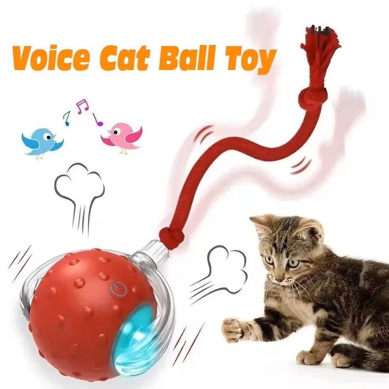 New Cat Interactive Ball Toy,Automatic Rolling Cat Ball Rechargeable,Smart Kitten Interactive Toy,Intelligent Balls Toy for Cat