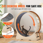 SucceBuy Wooden Cat Exercise Wheel Large Cat Treadmill Wheel for Indoor Cat Running Wheel with Detachable Carpet& Cat Teaser