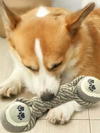 1 piece of indestructible teeth cleaning toys, durable dog teeth toy, cat and dog teeth cleaning supplies.