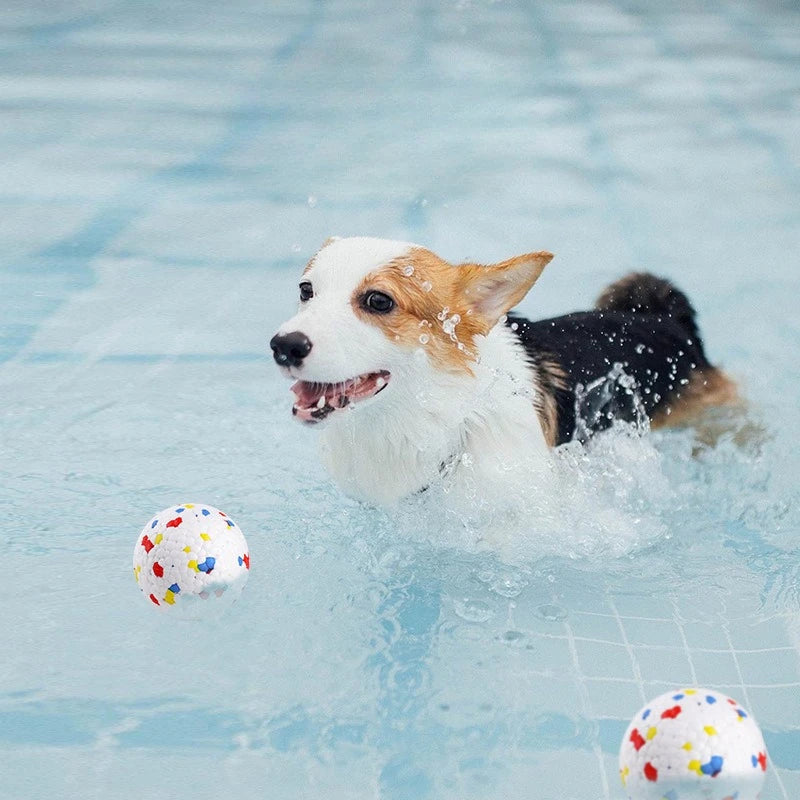 Dog Ball Toys Bite Resistant Pet Ball Grinding Teeth Toy for Dogs Puppies Interactive Dog Toys