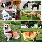 Small, Medium, Large Dog Harness, Strong Harness Vest for Dogs, Pet Shop, Everything for Dogs, Golden Retriever, Chihuahua, Accessories