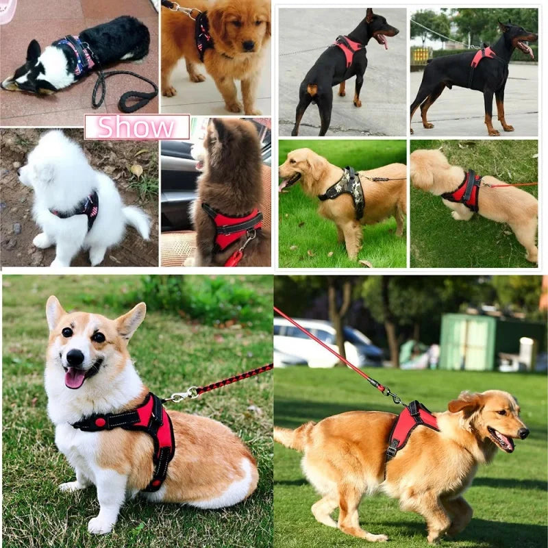 Small, Medium, Large Dog Harness, Strong Harness Vest for Dogs, Pet Shop, Everything for Dogs, Golden Retriever, Chihuahua, Accessories