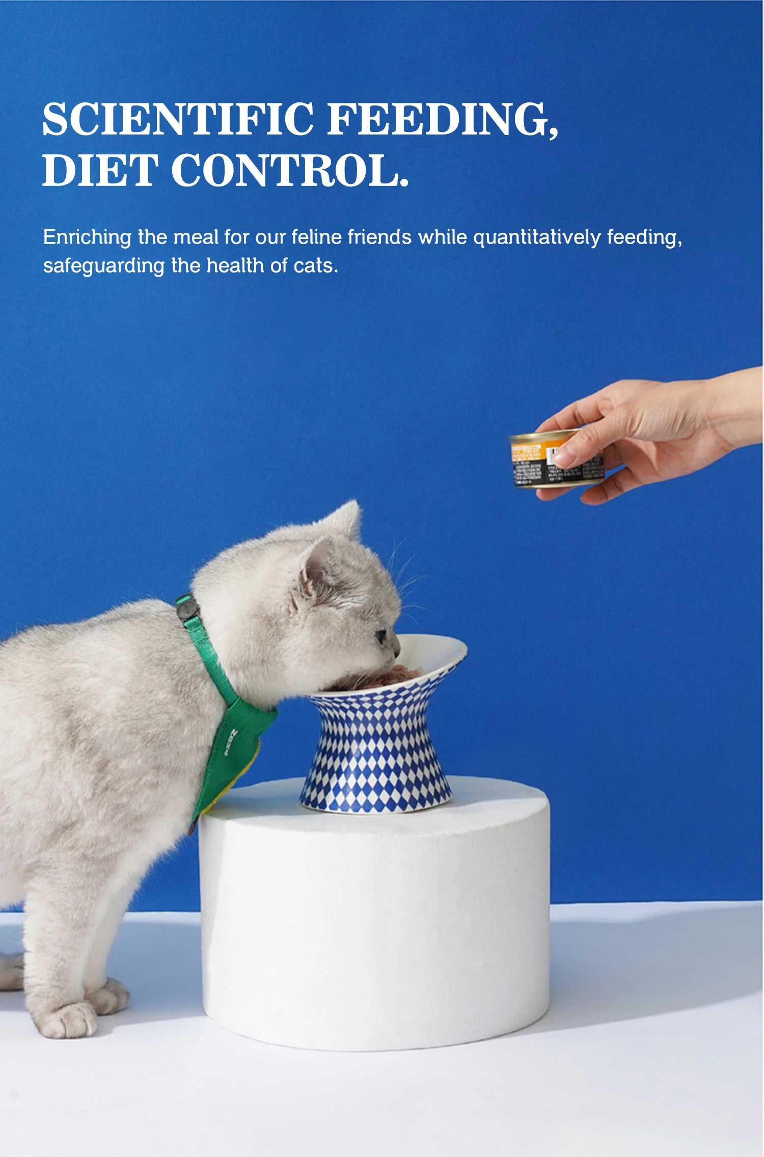 Ceramic Cat and Dog Bowls, Anti-Tip Pet Food Dishes Elevated base design protects cats' necks, suitable for small dogs and cats