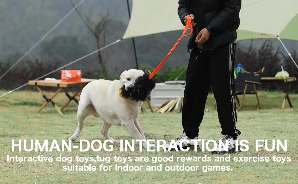 Brinquedo de Corda Bungee para Cães – Tug Toy com Bola de Borracha e Sheepskin