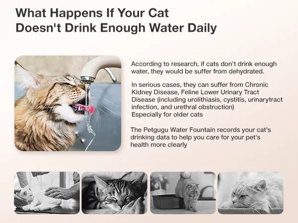 Petgugu PF1 Automatic Feeder 2L Capacity Drinking Fountain For Cats Dog Drinker Pet Water Dispenser Accessories APP Control