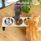 Elevated Cat Bowls Feeder 15° Tilted Raised Feeding & Watering Supplies Pet 3 Stainless Steel Bowls with Stand for Kittens