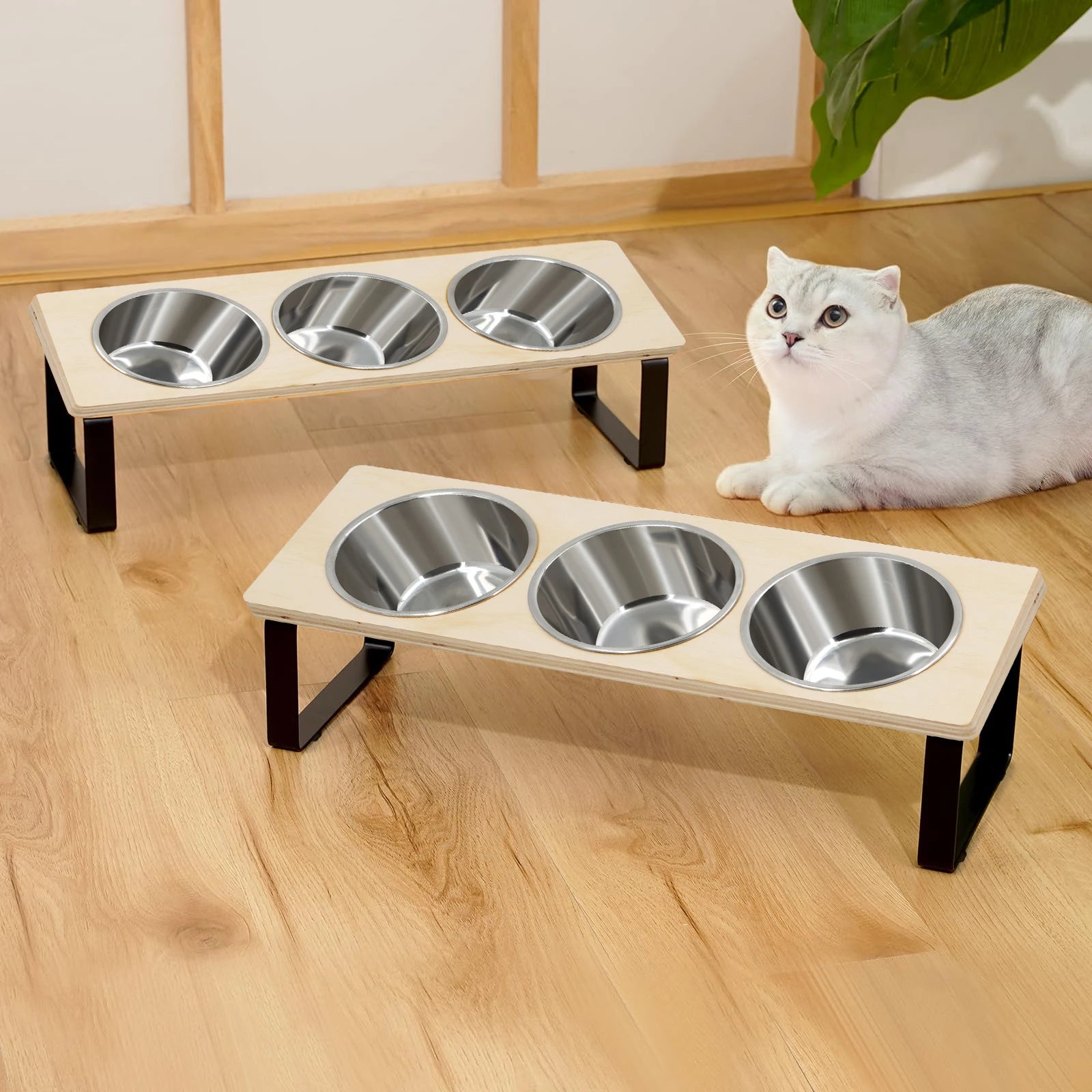Elevated Cat Bowls Feeder 15° Tilted Raised Feeding & Watering Supplies Pet 3 Stainless Steel Bowls with Stand for Kittens