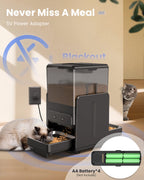 5L Automatic Cat Kibble Dispenser 2 Bowls Smart Voice Recorder Pluggable Control Panel Auto Cat Food Dispenser For Pet Dry Food