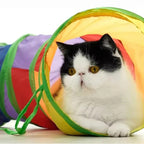 Cat Tunnel Pet Tube Collapsible Play Toy Indoor Outdoor Kitty Puppy Toys for Puzzle Exercising Training