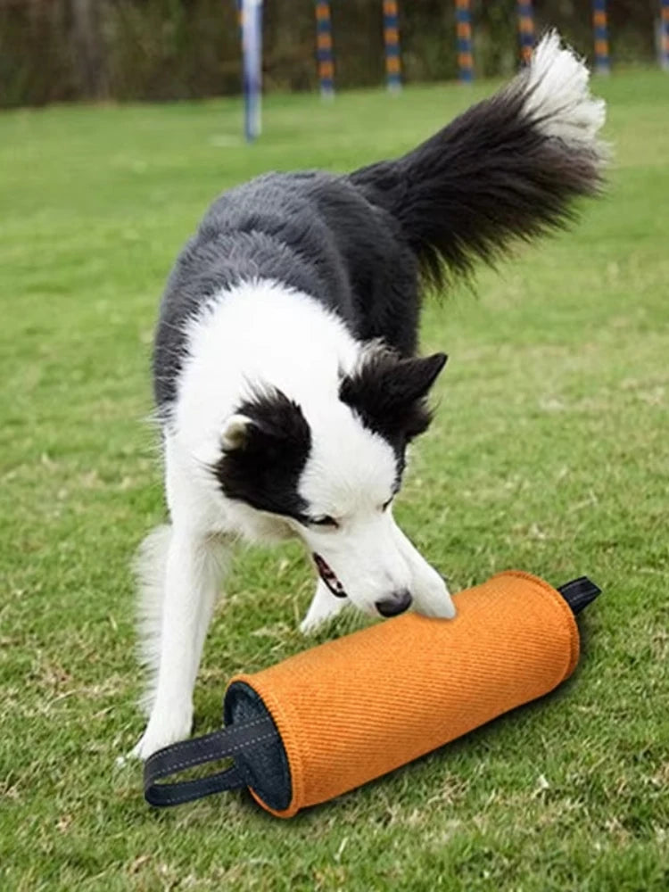 Stick de Mordida Resistente para Cães – Brinquedo Interativo de Treino e Limpeza Dentária