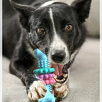 Osso de Mastigação Ultra‑Resistente para Cães – Efeito de Limpeza Dentária