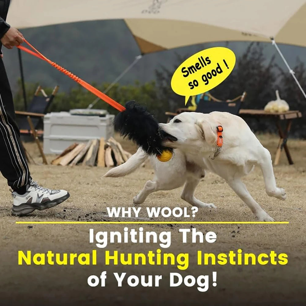 Brinquedo de Corda Bungee para Cães – Tug Toy com Bola de Borracha e Sheepskin