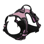 Dog Collars, Harnesses, Big Vests, Leashes, Pet Shop, Everything for Dogs, Leather Dog Accessories, Medium/Small Set