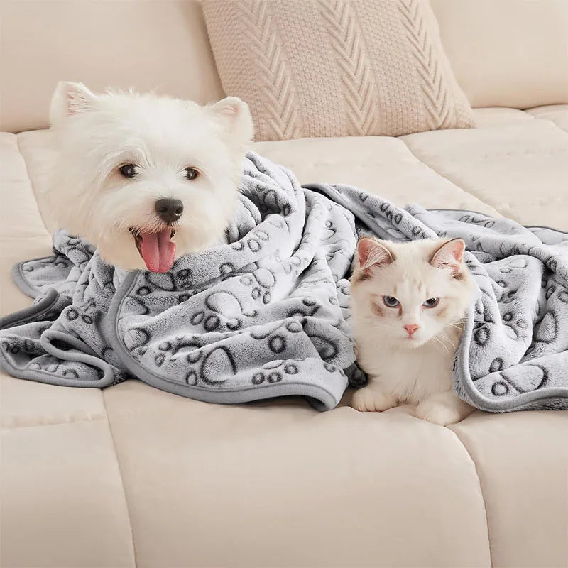 2PCS Soft Fluffy High Quality Dog Blanket Cute Cartoon Pattern Paw Print Large Dog Pet Mat Warm Comfortable Blanket for Dog Cat