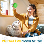 Conjunto 3/6 Bolas Squeaky para Cães – Brinquedos Flutuantes de Limpeza Dentária