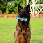 Indestructible Dog Chew Bone Toy for Aggressive Chewers - Durable Thermoplastic Rubber with Geometric Pattern, Teeth Cleaning