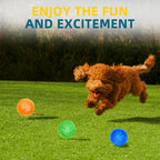 Conjunto 3/6 Bolas Squeaky para Cães – Brinquedos Flutuantes de Limpeza Dentária