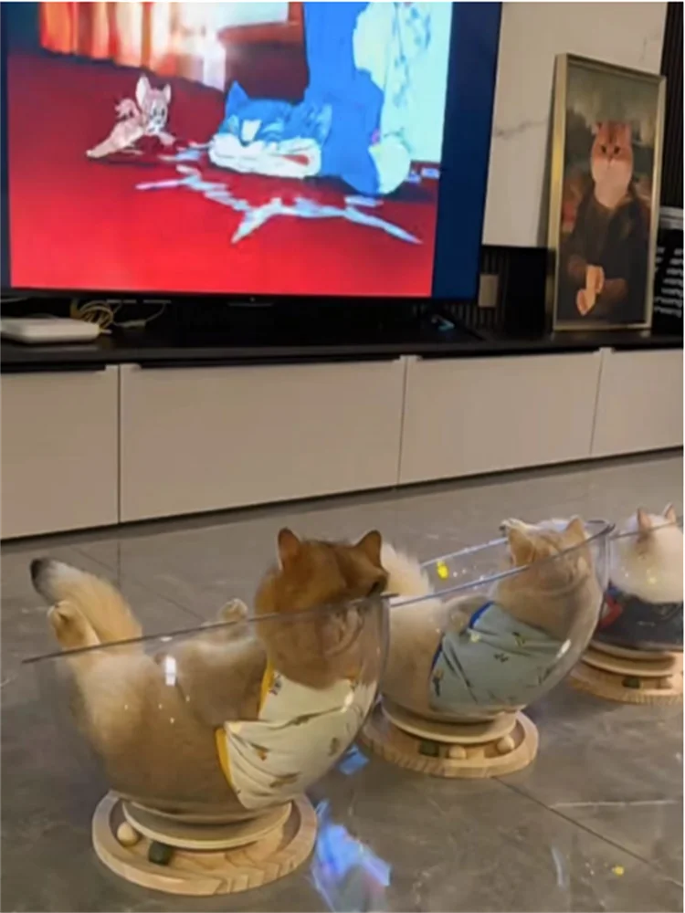 Universal Capsule Removable Cat Bed, Sleeping Nest, Transparent Cat House Cover, All-Season Universal Kitten Hammock