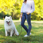 Trela de Cão Mãos Livres para Corrida com Cinto Ajustável de 1.8m