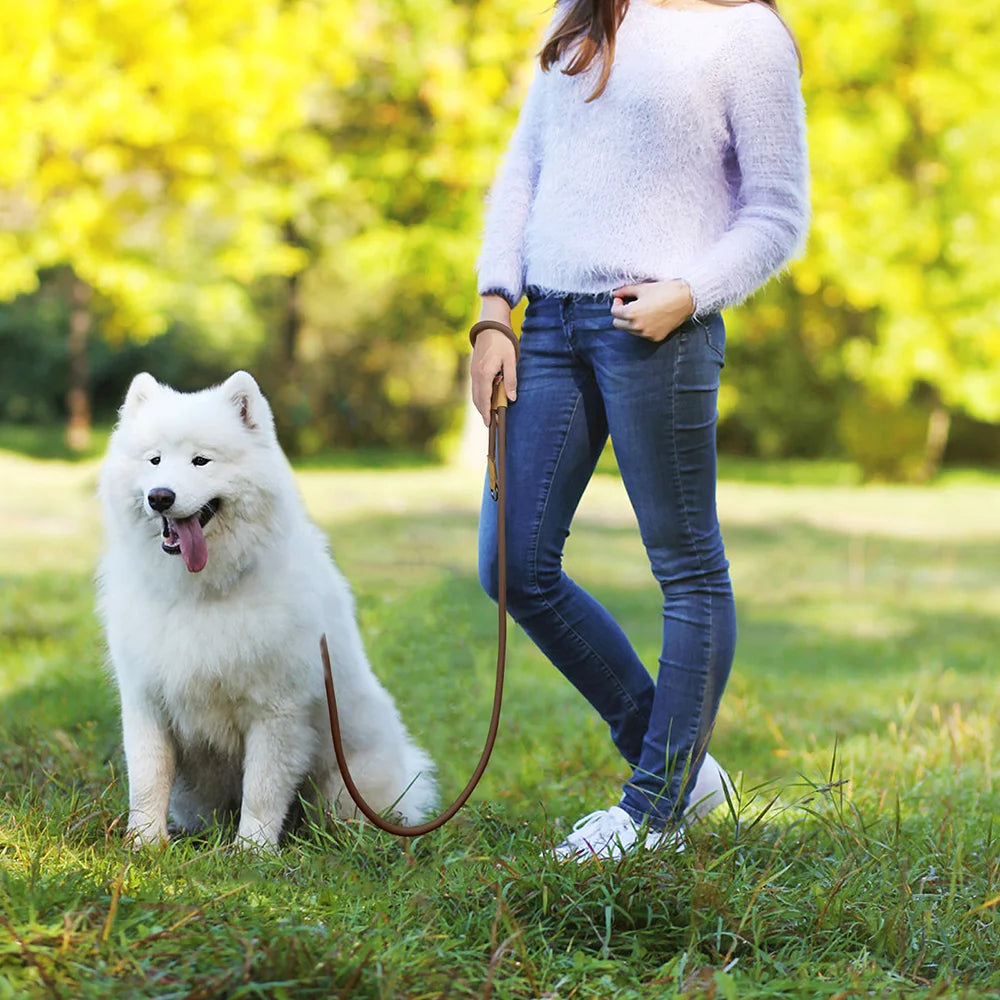Trela de Cão Mãos Livres para Corrida com Cinto Ajustável de 1.8m
